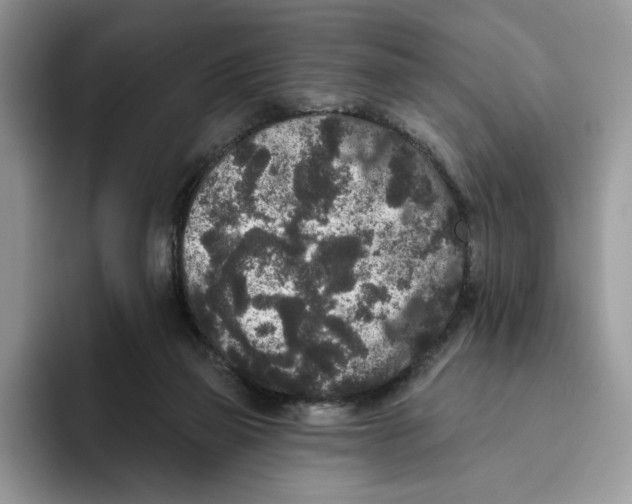 X0000093480165200711091633