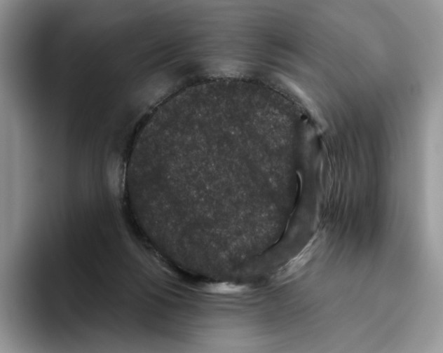 X0000093480168200711091633