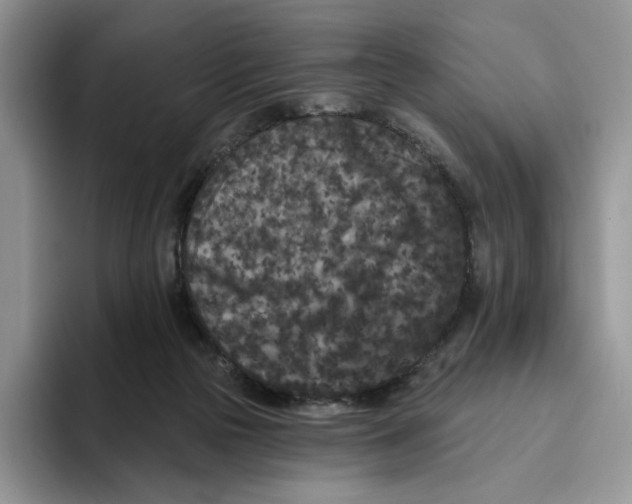 X0000093480169200711091633