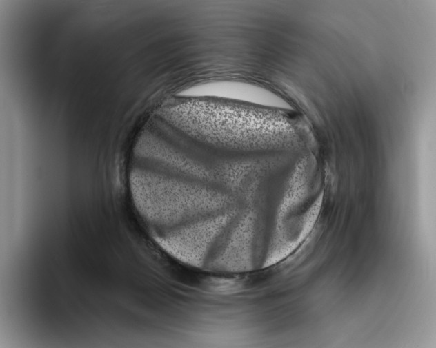 X0000093480170200711091633
