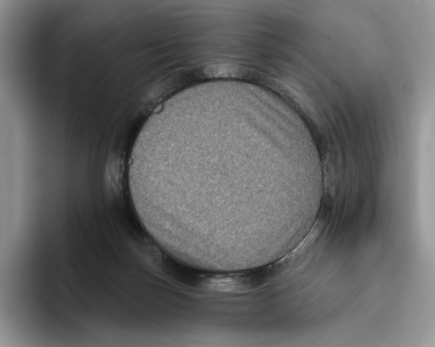 X0000093480171200711091633