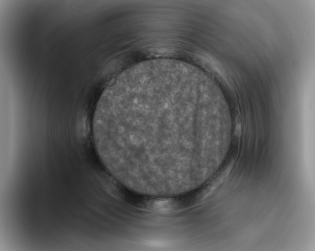 X0000093480173200711091633
