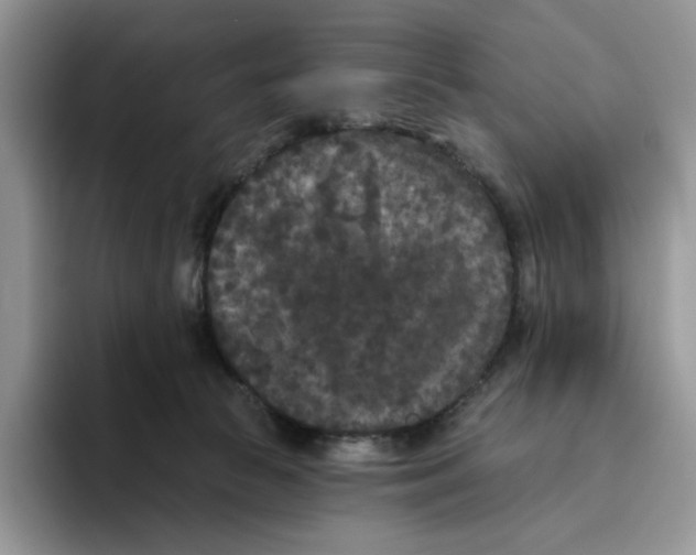 X0000093480177200711091633
