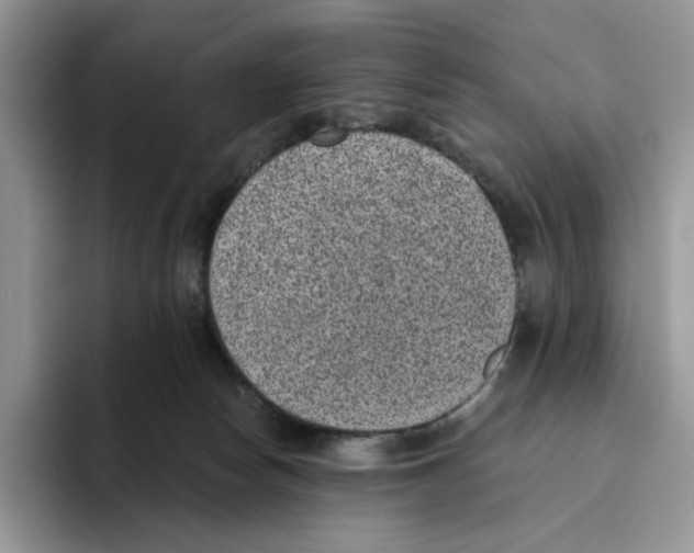 X0000093480178200711091633