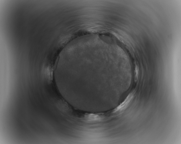 X0000093480180200711091633