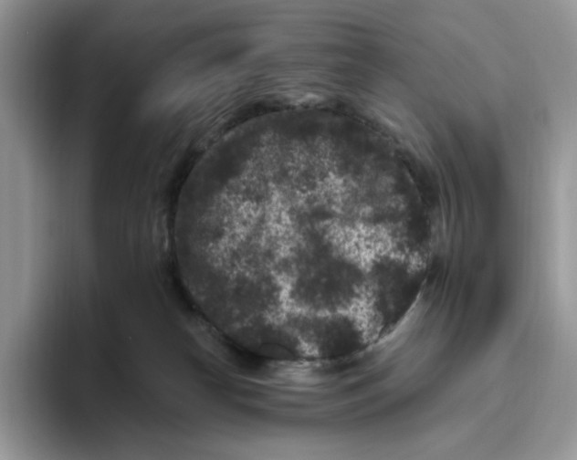 X0000093480182200711091633