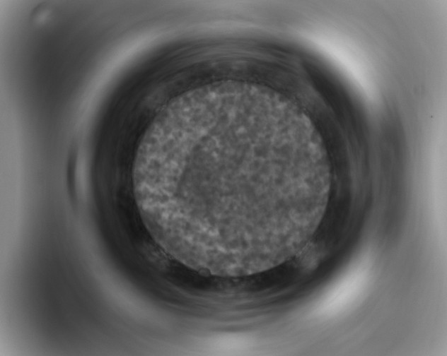 X0000093480189200711091633