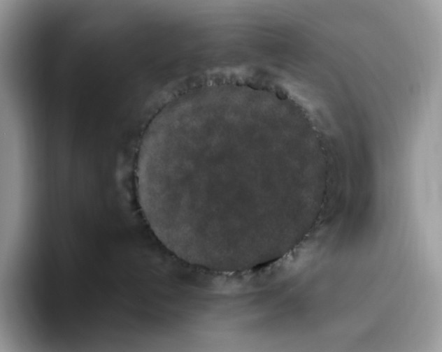 X0000093480192200711091633