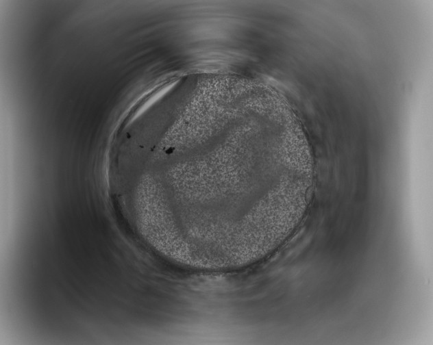 X0000093480194200711091633