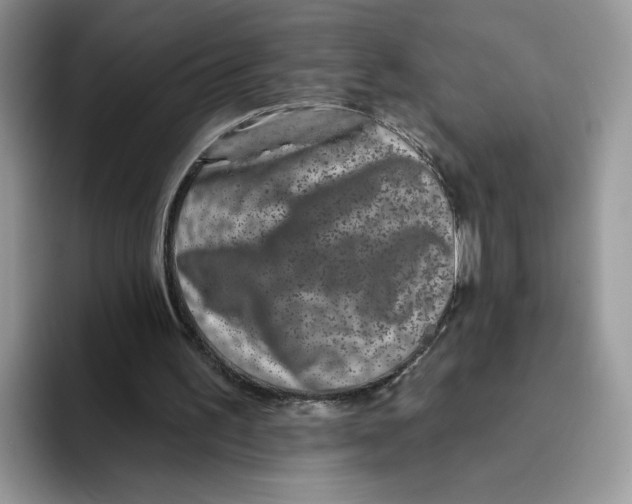 X0000093480195200711091633