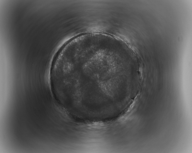 X0000093480196200711091632