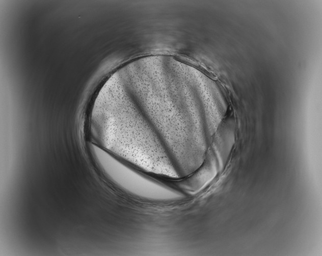 X0000093480197200711091632