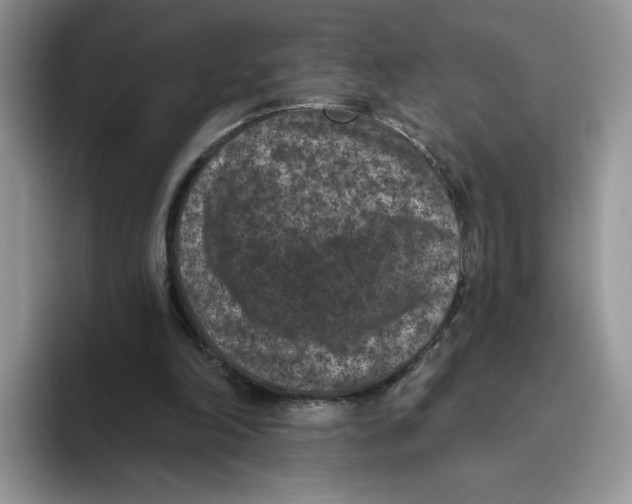 X0000093480198200711091632