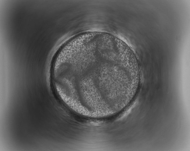 X0000093480199200711091632