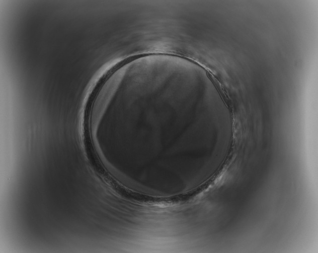 X0000093480200200711091632