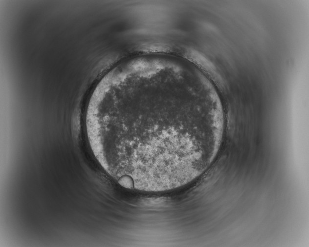 X0000093480202200711091632