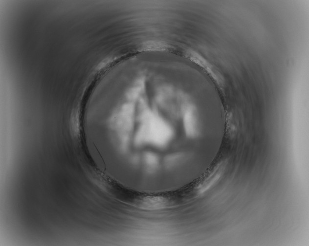 X0000093480203200711091632
