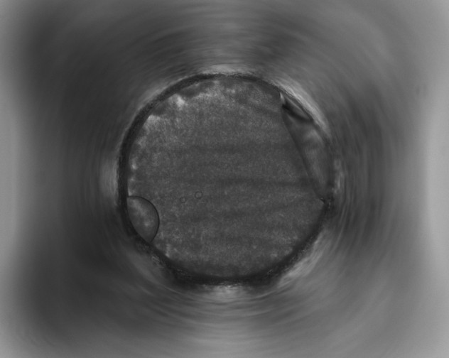 X0000093480204200711091632