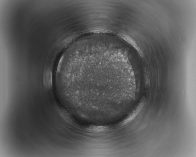 X0000093480205200711091632