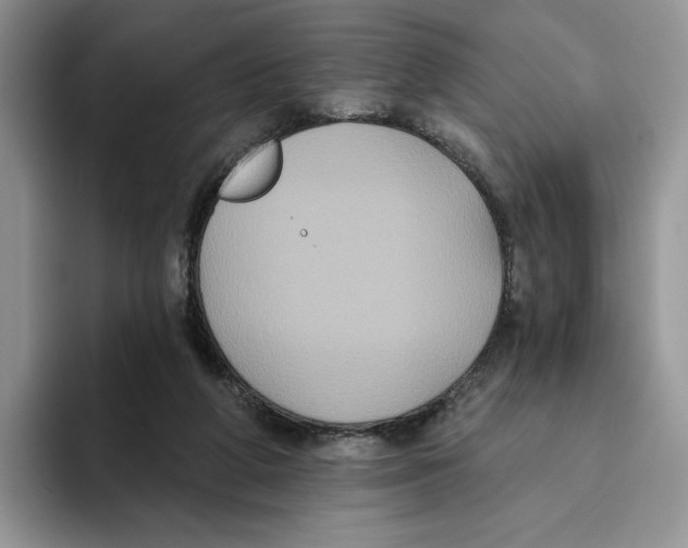 X0000093480210200711091632