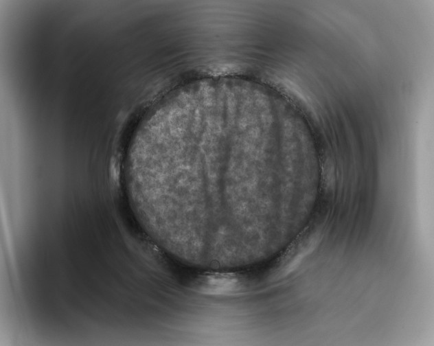 X0000093480214200711091632