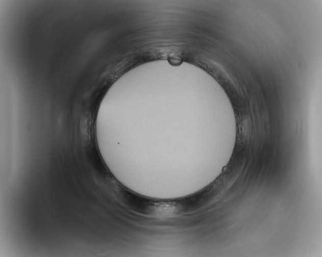 X0000093480218200711091632