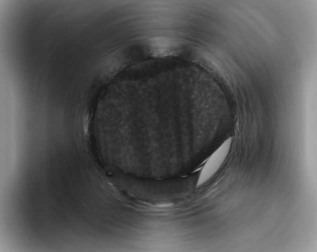 X0000093480219200711091632