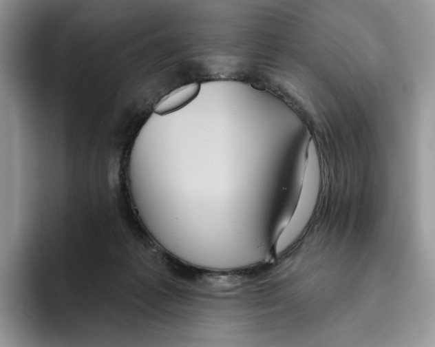 X0000093480221200711091632