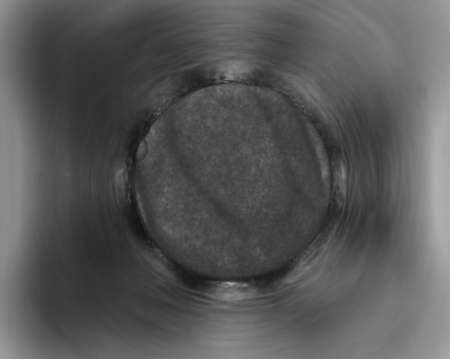 X0000093480222200711091632