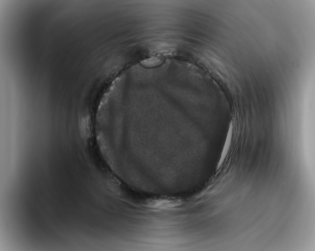 X0000093480224200711091632
