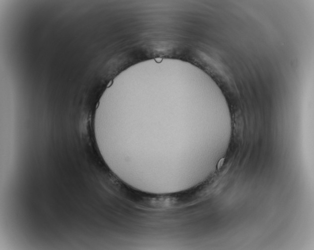 X0000093480225200711091632