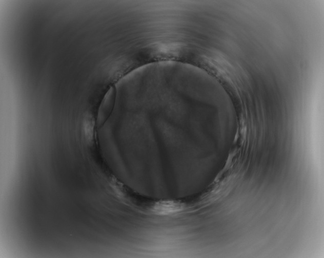 X0000093480231200711091632