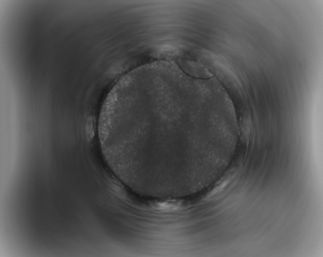 X0000093480232200711091632
