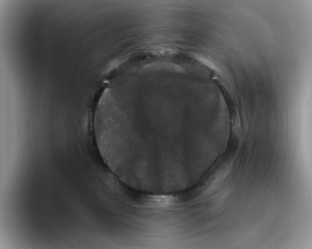 X0000093480233200711091632