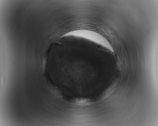 X0000093480235200711091632