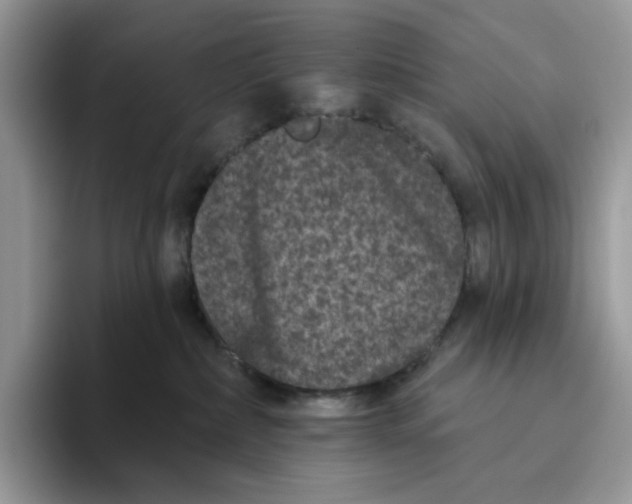 X0000093480236200711091632