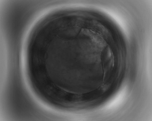 X0000093480239200711091632
