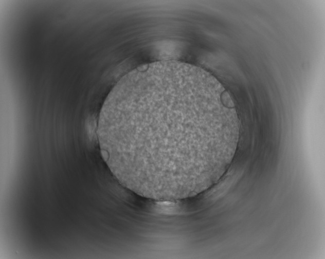X0000093480240200711091632