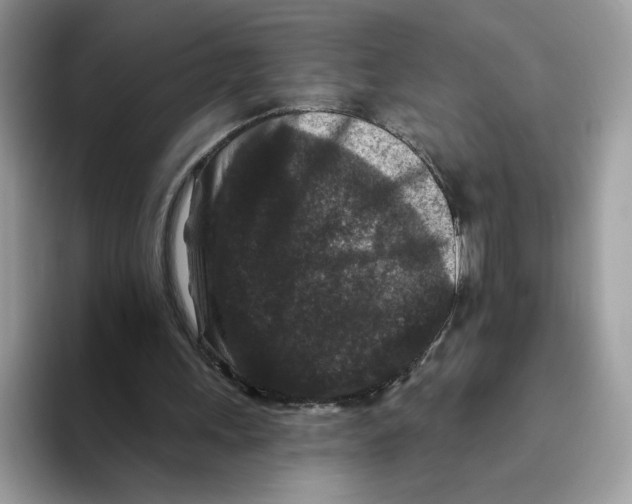 X0000093480243200711091631
