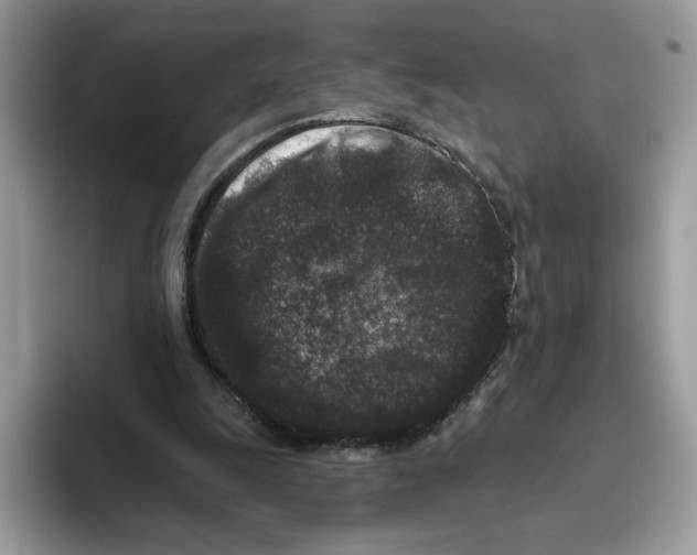 X0000093480247200711091631