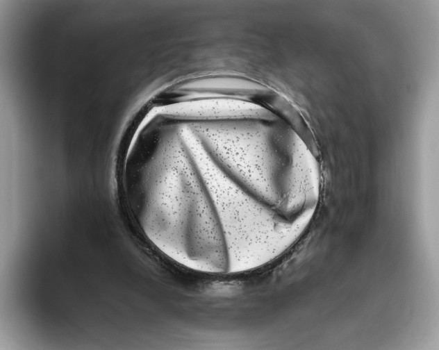X0000093480248200711091631