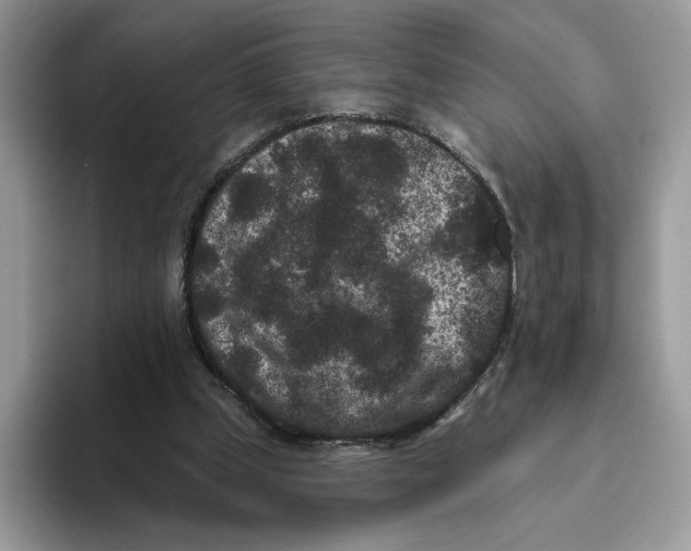 X0000093480249200711091632