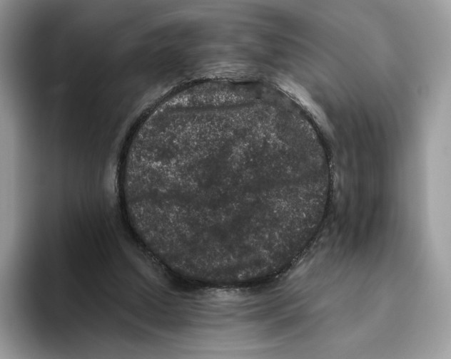 X0000093480250200711091632