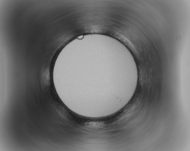 X0000093480251200711091632