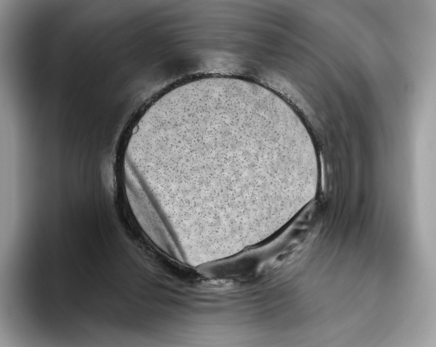 X0000093480252200711091632