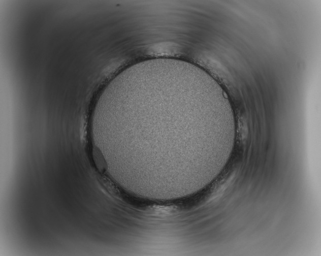 X0000093480255200711091632