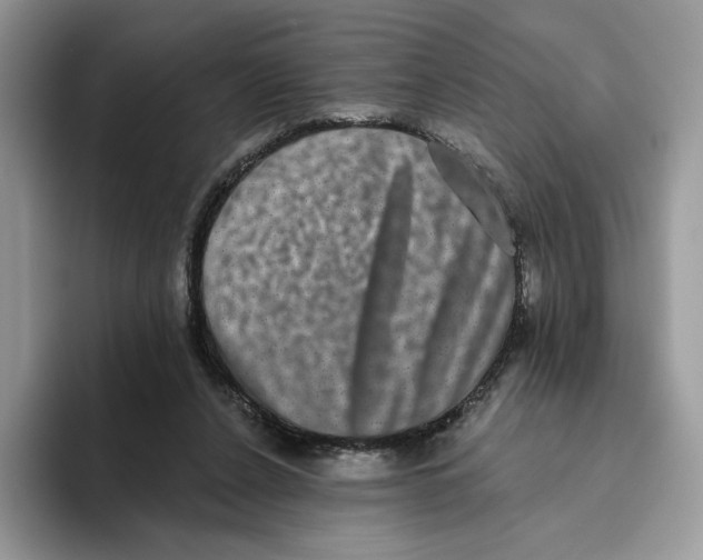 X0000093480256200711091632