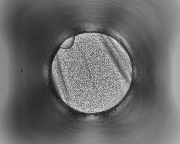 X0000093480257200711091632