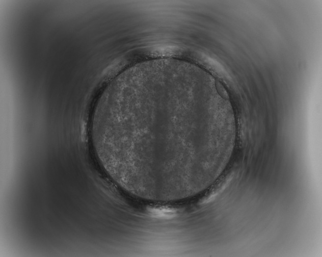 X0000093480258200711091632