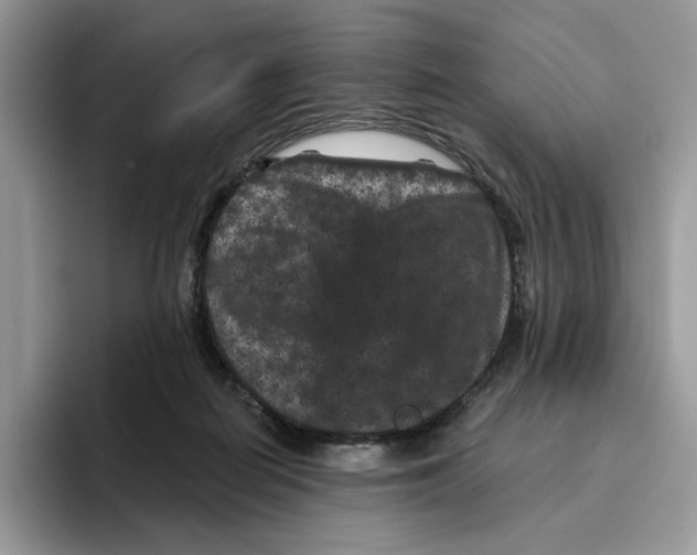X0000093480266200711091632